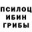 Галлюциногенные грибы мицелий NADIA Bayanova