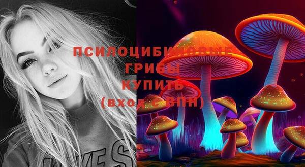 хмурый Армянск