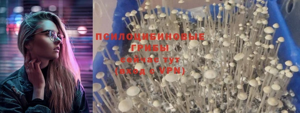 хмурый Армянск
