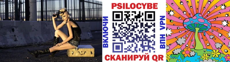 закладка  Калязин  Псилоцибиновые грибы Psilocybe 